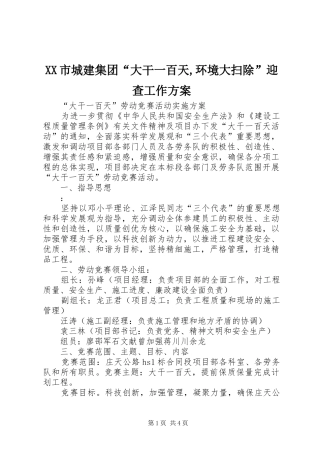 XX市城建集团“大干一百天,环境大扫除”迎查工作实施方案 