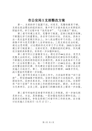 市公安局X支部整改实施方案 