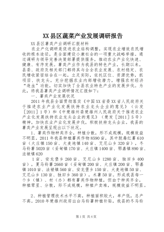 XX县区蔬菜产业发展调研报告 
