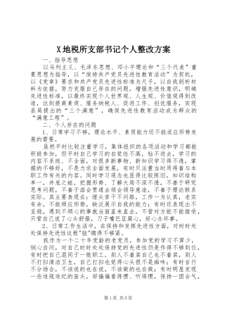 X地税所支部书记个人整改实施方案 