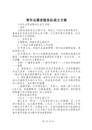 青年志愿者服务队成立实施方案 