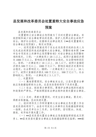 县发展和改革委员会重特大安全事故应急预案 