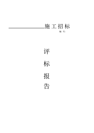 招标评标报告范本89031