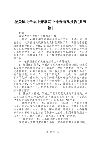 城关镇关于集中开展两个排查情况报告[共五篇] 