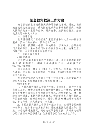紧急救灾救济工作实施方案 