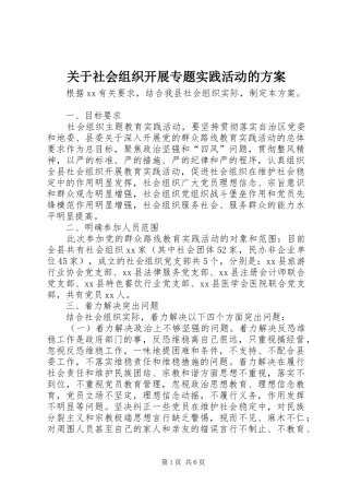 关于社会组织开展专题实践活动的实施方案 