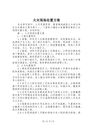 火灾现场处置实施方案 