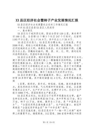 XX县区经济社会暨柿子产业发展情况汇报 