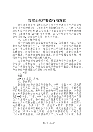 市安全生产督查行动方案