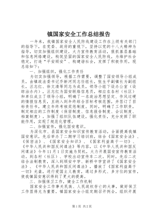 镇国家安全工作总结报告