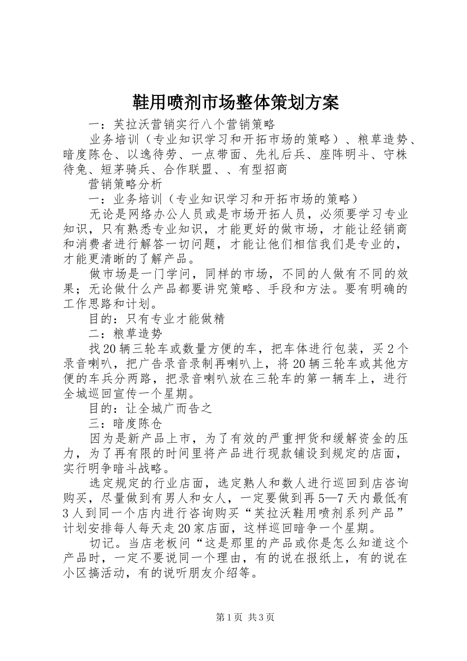 鞋用喷剂市场整体策划实施方案 _第1页