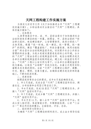 天网工程构建工作实施方案