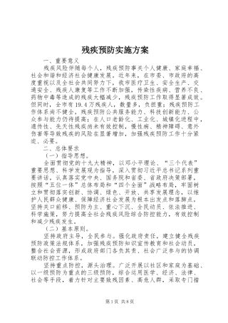 残疾预防方案 