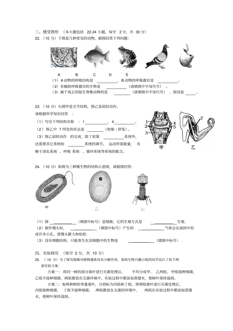 人教版八上生物期末考试试卷_第3页