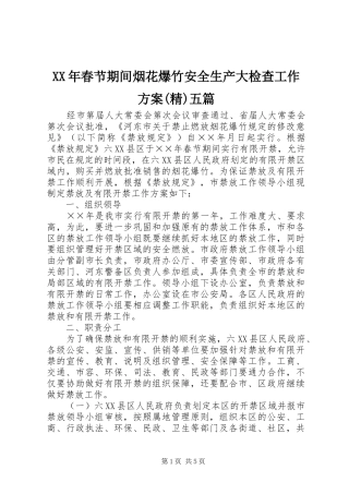XX年春节期间烟花爆竹安全生产大检查工作实施方案(精)五篇 