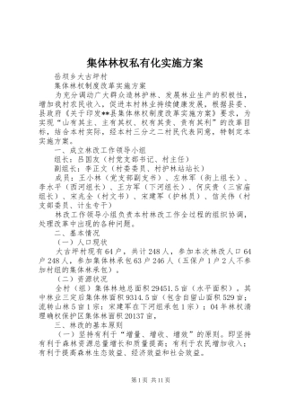 集体林权私有化方案 