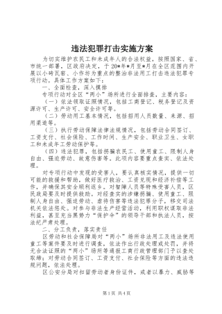 违法犯罪打击实施方案