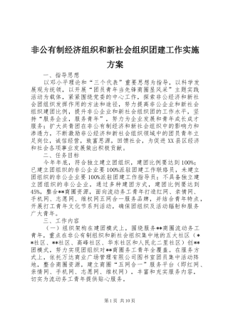 非公有制经济组织和新社会组织团建工作方案 