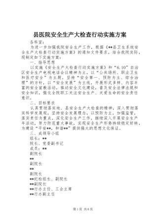 县医院安全生产大检查行动方案 