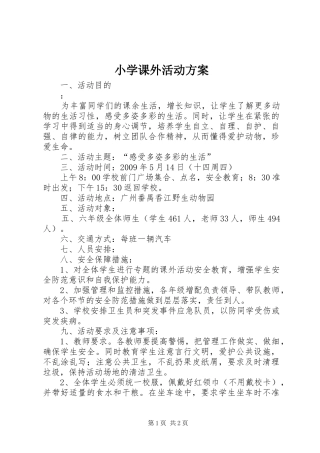 小学课外活动实施方案 