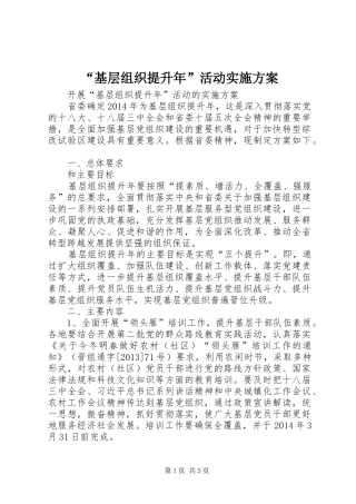 “基层组织提升年”活动方案 