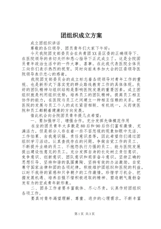 团组织成立实施方案 