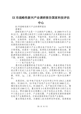 XX市战略性新兴产业调研报告国家科技评估中心 