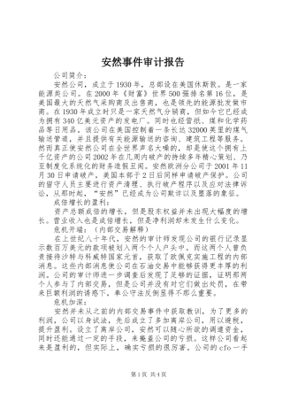安然事件审计报告 