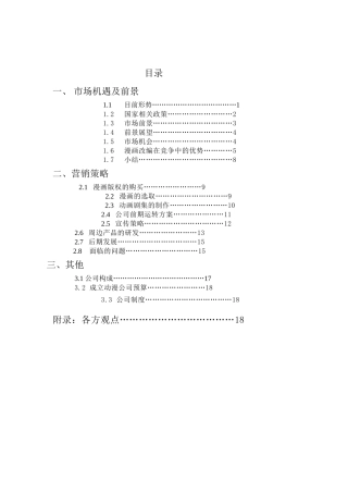 动漫产业创业计划(24页)