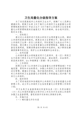 卫生局量化分级指导方案