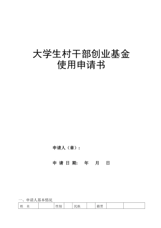 大学生村干部创业基金