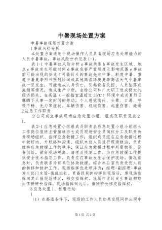 中暑现场处置方案