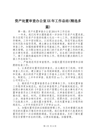 资产处置审查办公室XX年工作总结(精选多篇)