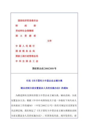 大中型企业分流安置富余人员的实施办法