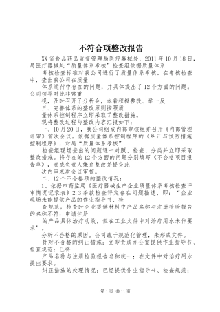 不符合项整改报告 
