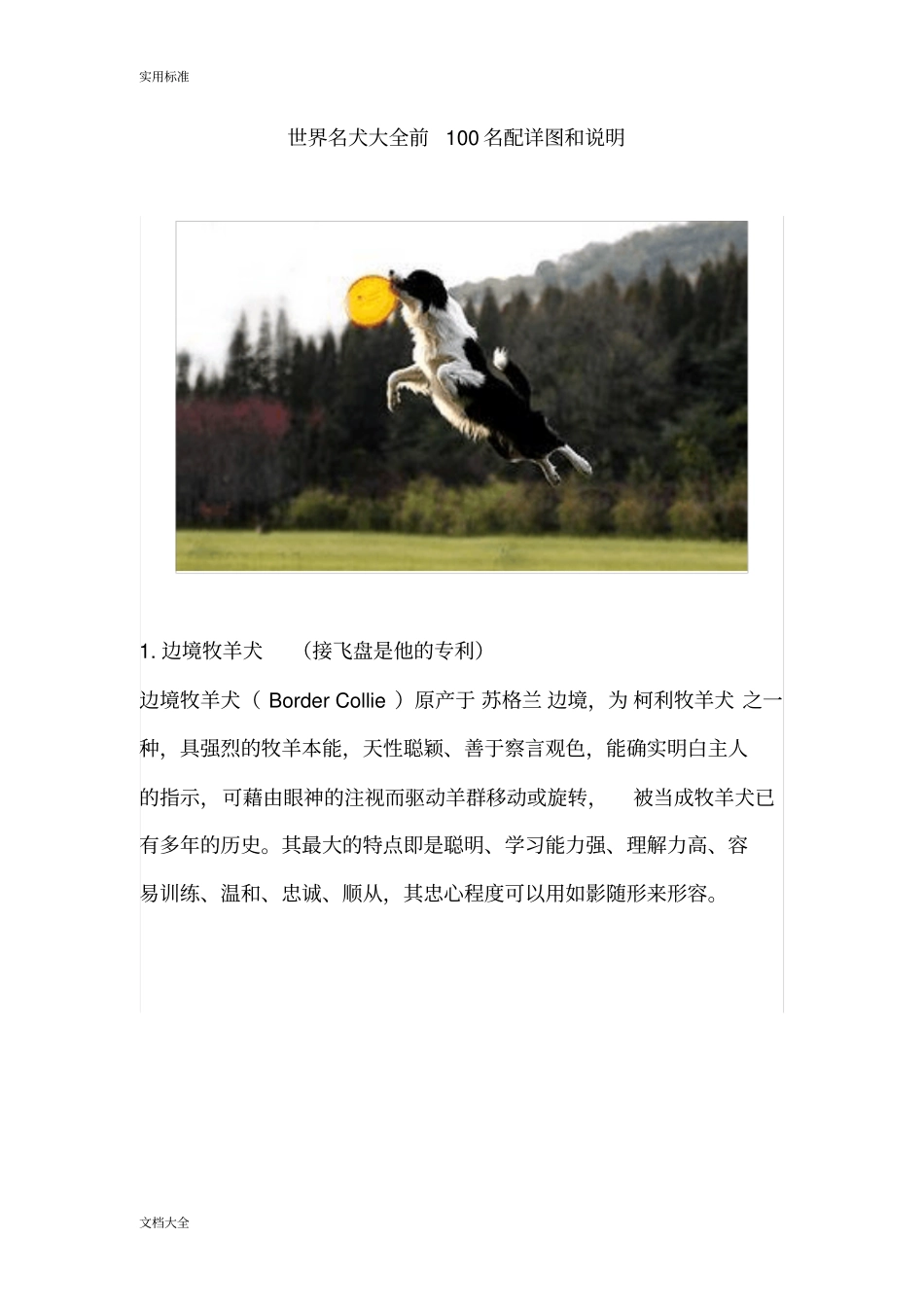 世界名犬大全前100名配详图和说明书_第1页