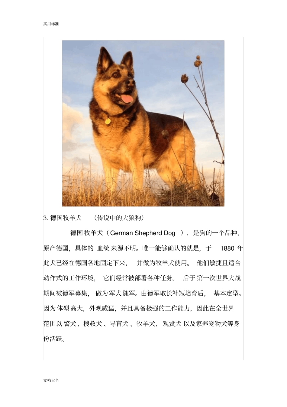 世界名犬大全前100名配详图和说明书_第3页