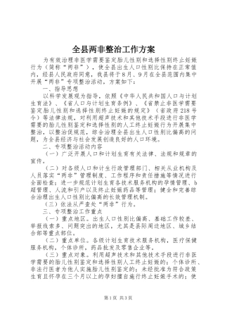 全县两非整治工作方案