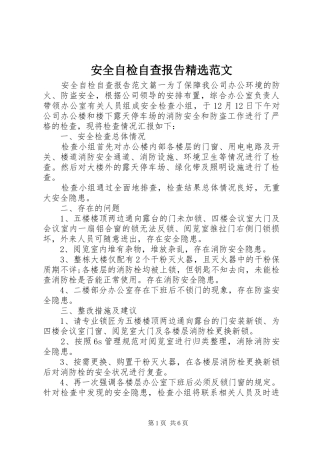 安全自检自查报告精选范文 