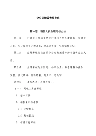 【实例】分公司绩效考核办法-9页