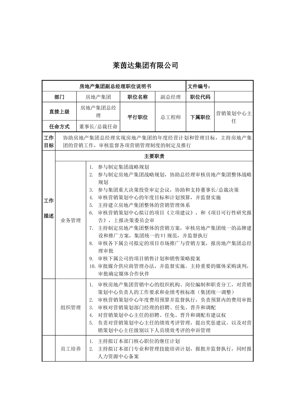 莱茵达公司房地产集团副总经理职位说明书_第1页