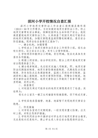 滨河小学开校情况自查汇报 