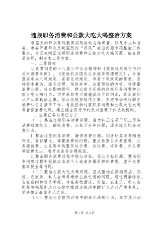 违规职务消费和公款大吃大喝整治方案