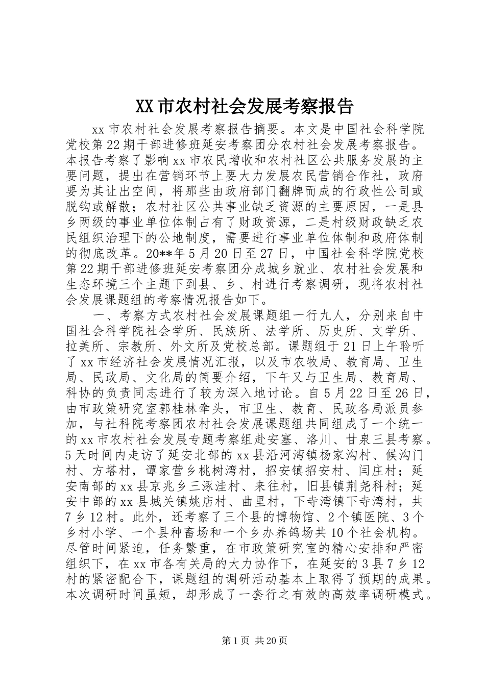 XX市农村社会发展考察报告 _第1页