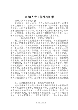 XX镇人大工作情况汇报 