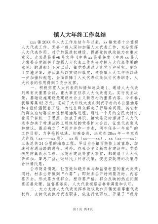 镇人大年终工作总结