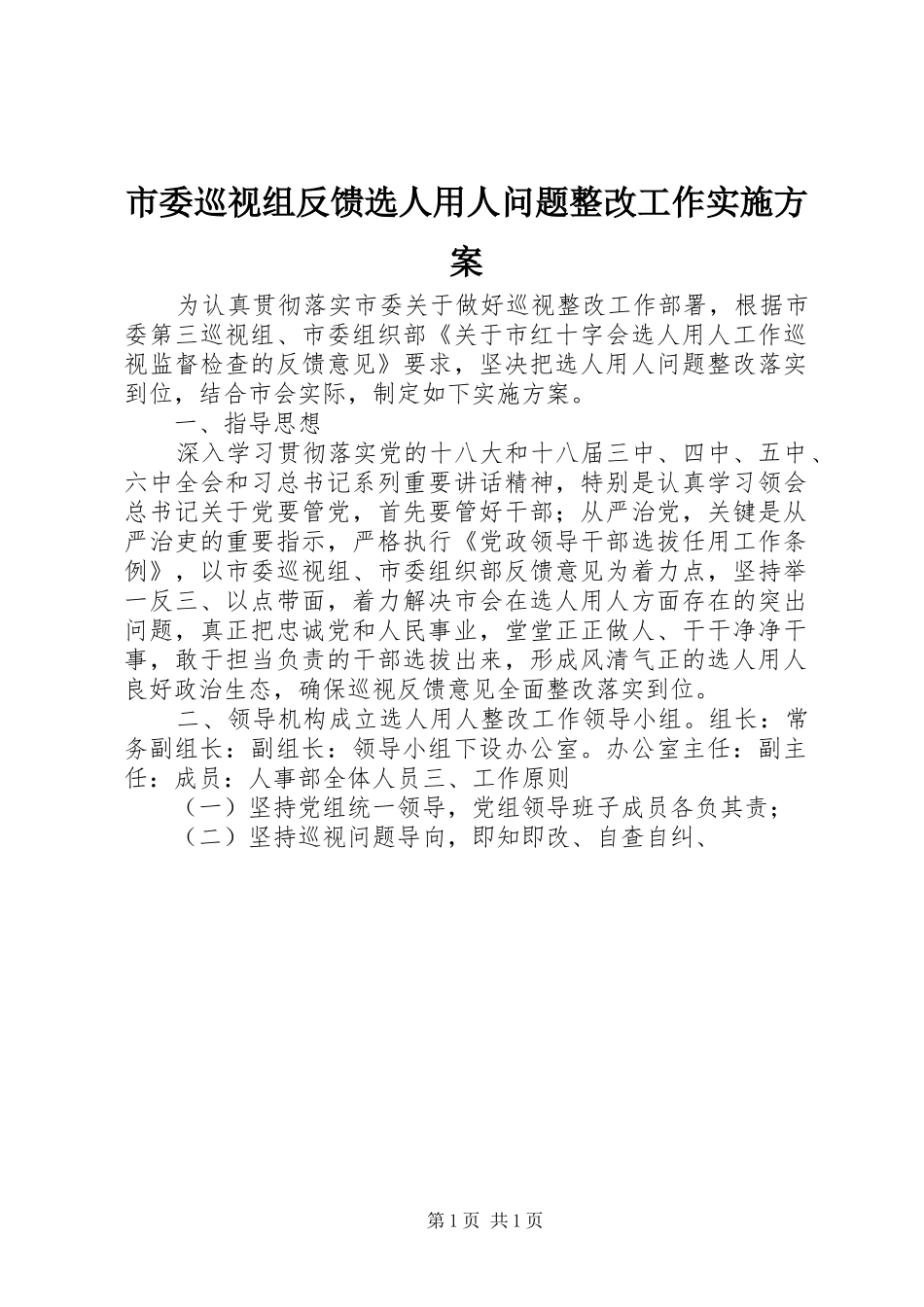 市委巡视组反馈选人用人问题整改工作实施方案_第1页