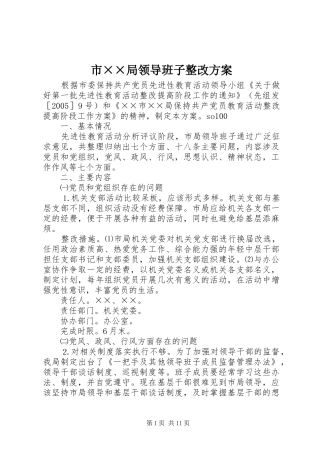 市××局领导班子整改方案
