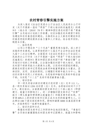 农村青春引擎实施方案