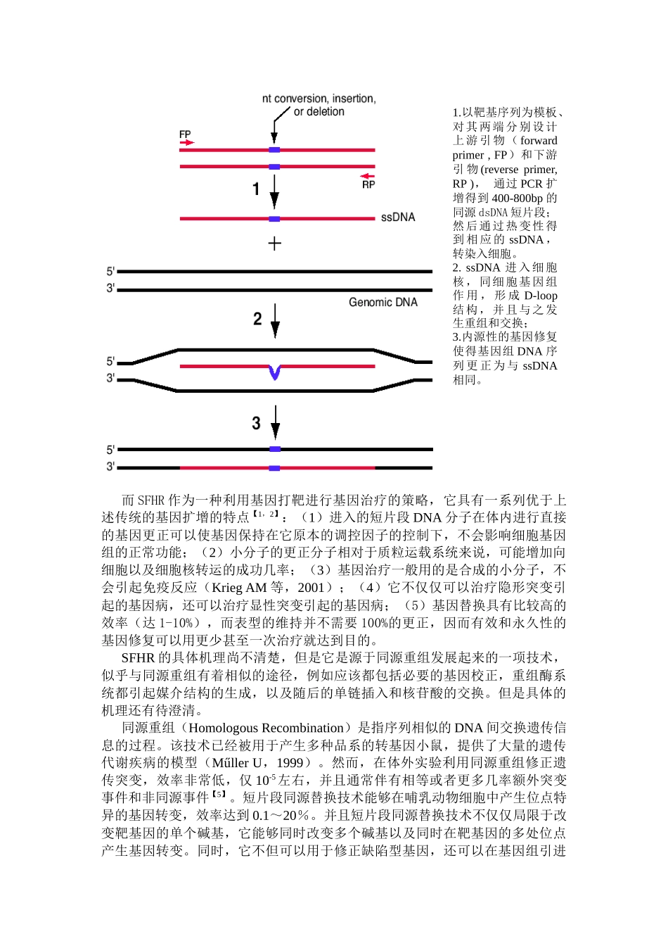 利用短片段同源替换(SFHR)技术进行位点特异修复CHO细胞_第3页